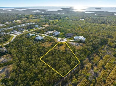 Welcome to Calusa Ridge! OVERSIZED LOT - 1.46 ACRES! NO - photo 8