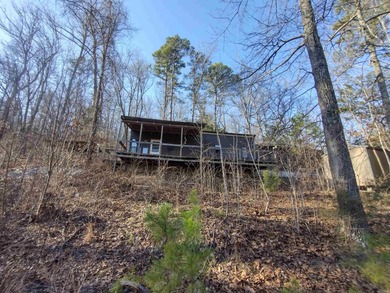 White River Home For Sale in Mountain View Arkansas