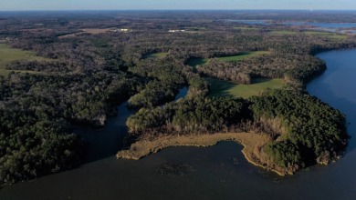 Lake Eufaula / Walter F George Reservoir Acreage For Sale in Eufaula Alabama