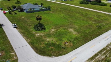 Lake Lot For Sale in Cape Coral, Florida