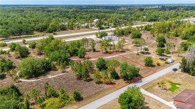 Lehigh Acres Area Lot For Sale in Lehigh Acres Florida