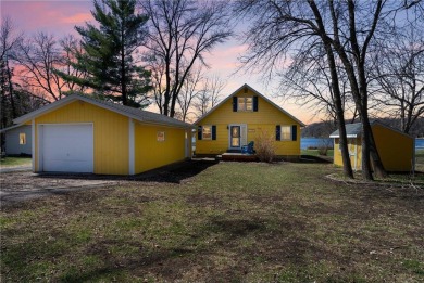 Lake Home For Sale in Maple Lake Twp, Minnesota