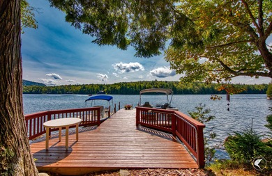 Camp Lillian, located on the southwest shore of Moose Island on - photo 10