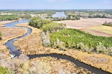 Neuse River Acreage For Sale in Havelock North Carolina