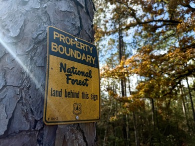 (private lake, pond, coastal) Acreage For Sale in Beaumont Mississippi