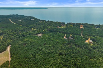 Lake Acreage For Sale in Necedah, Wisconsin