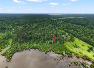 Lake Acreage For Sale in Broaddus, Texas