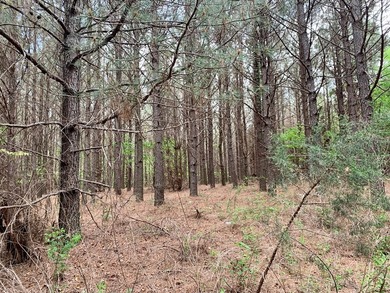 PRICE REDUCED! Private 179 acre tract located in northwest - photo 12