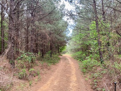PRICE REDUCED! Private 179 acre tract located in northwest - photo 13