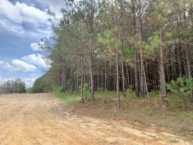PRICE REDUCED! Private 179 acre tract located in northwest - photo 14