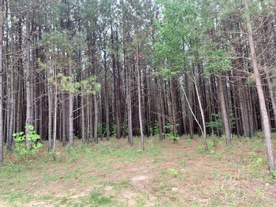 PRICE REDUCED! Private 179 acre tract located in northwest - photo 15