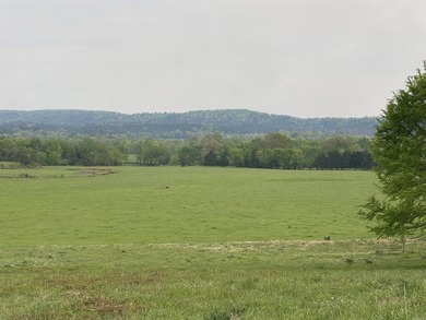One of the most unique properties in Montgomery County! This 570 - photo 17