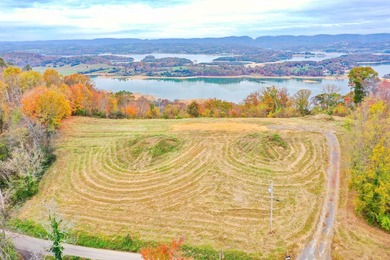 2.7 Acres of Breathtaking Cherokee Lake Views. This gorgeous - photo 7