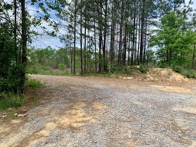 PRICE REDUCED! Private 179 acre tract located in northwest - photo 17