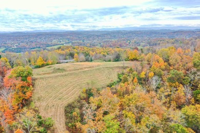 2.7 Acres of Breathtaking Cherokee Lake Views. This gorgeous - photo 9