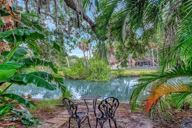 (private lake, pond, creek) Home For Sale in Riverview Florida