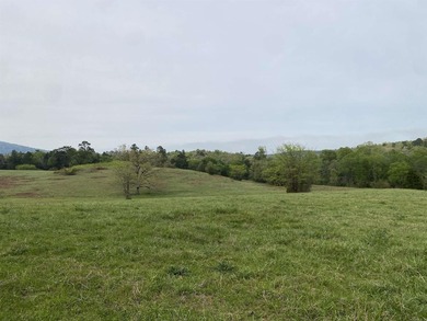 One of the most unique properties in Montgomery County! This 570 - photo 28