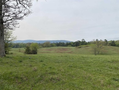 One of the most unique properties in Montgomery County! This 570 - photo 29