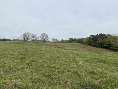 One of the most unique properties in Montgomery County! This 570 - photo 30