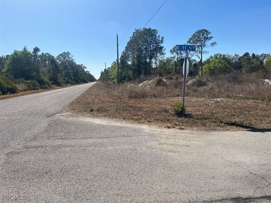 Lehigh Acres Area Lot For Sale in Lehigh Acres Florida