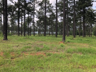 1.250 Acre Waterview Lot on a quiet cul-de-sac available at - Lake Lot For Sale in Hemphill, Texas
