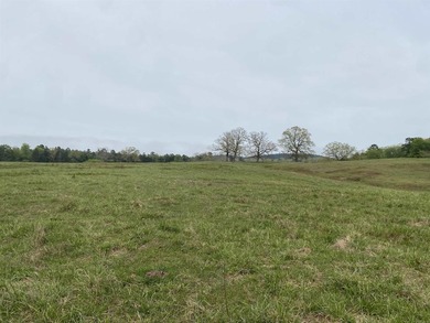 One of the most unique properties in Montgomery County! This 570 - photo 36