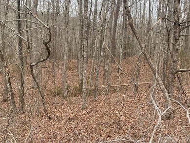 (private lake, pond, creek) Acreage For Sale in Clinton Arkansas