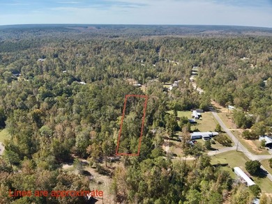 Lake Eufaula / Walter F George Reservoir Lot For Sale in Abbeville Alabama