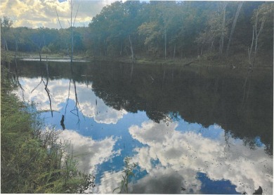 (private lake, pond, creek) Acreage For Sale in Lebanon Missouri