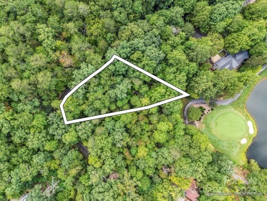 This rare and easily buildable mountain lot sits on the scenic - photo 3