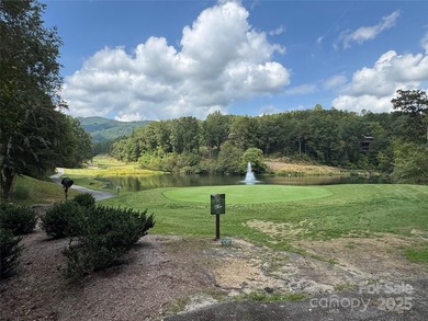 This rare and easily buildable mountain lot sits on the scenic - photo 8