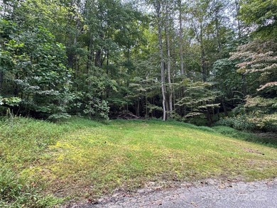 This rare and easily buildable mountain lot sits on the scenic - photo 9