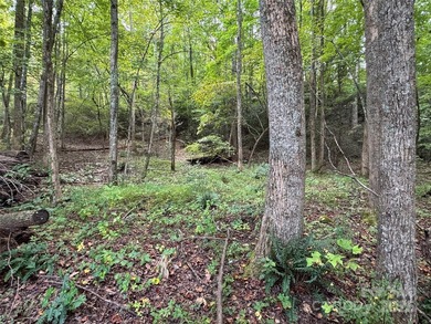 This rare and easily buildable mountain lot sits on the scenic - photo 10