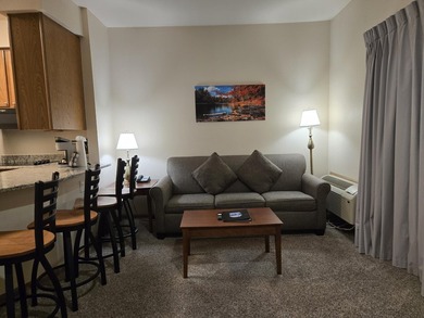 A dream come true! Fabulous condotel at The Cove of Lake Geneva - photo 16