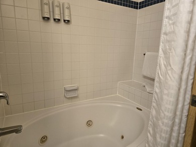 A dream come true! Fabulous condotel at The Cove of Lake Geneva - photo 18
