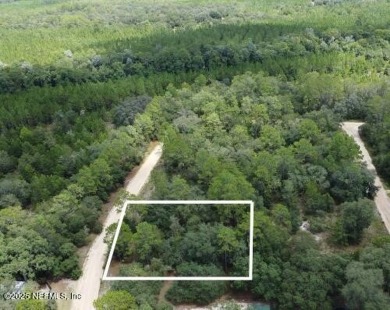 Lake Lot For Sale in Interlachen, Florida