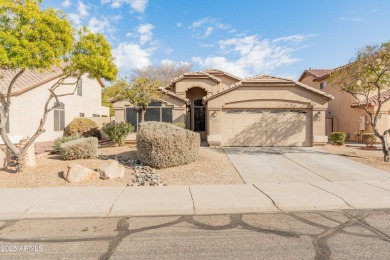 Lake Home Sale Pending in Avondale, Arizona