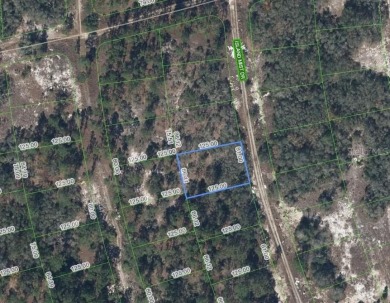 Lake Grassy Lot For Sale in Lake Placid Florida
