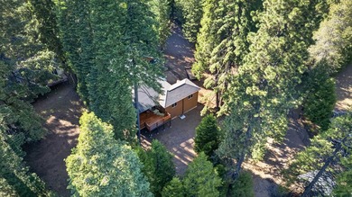 A home designed for the way you want to live at Lake Almanor - photo 34