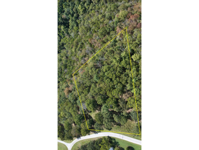 Table Rock Lake Acreage For Sale in Cape Fair Missouri