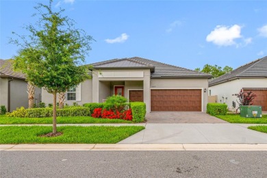 Lake Home For Sale in Land O Lakes, Florida
