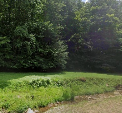 (private lake, pond, coastal) Acreage Sale Pending in Grundy Virginia