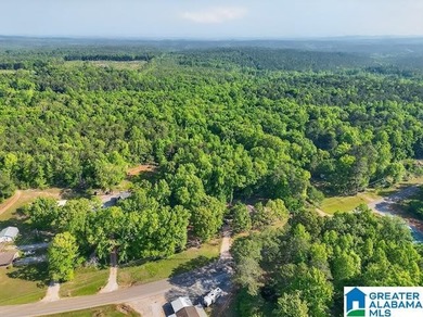 This beautiful 4 bedroom, 2 bath home sits on 1 +/- Acre - photo 11