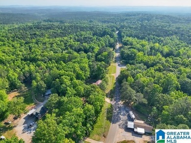 This beautiful 4 bedroom, 2 bath home sits on 1 +/- Acre - photo 12