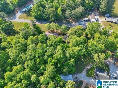 This beautiful 4 bedroom, 2 bath home sits on 1 +/- Acre - photo 13