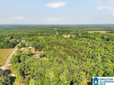 This beautiful 4 bedroom, 2 bath home sits on 1 +/- Acre - photo 16