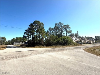 Lehigh Acres Area Lot For Sale in Lehigh Acres Florida