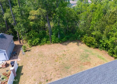 A beautifully appointed home in one of Leland's most - photo 31