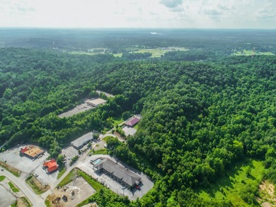 36.16 acres of prime development land located just off Exit 25 - photo 3