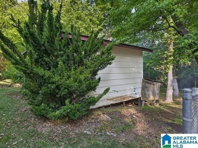 This beautiful 4 bedroom, 2 bath home sits on 1 +/- Acre - photo 40